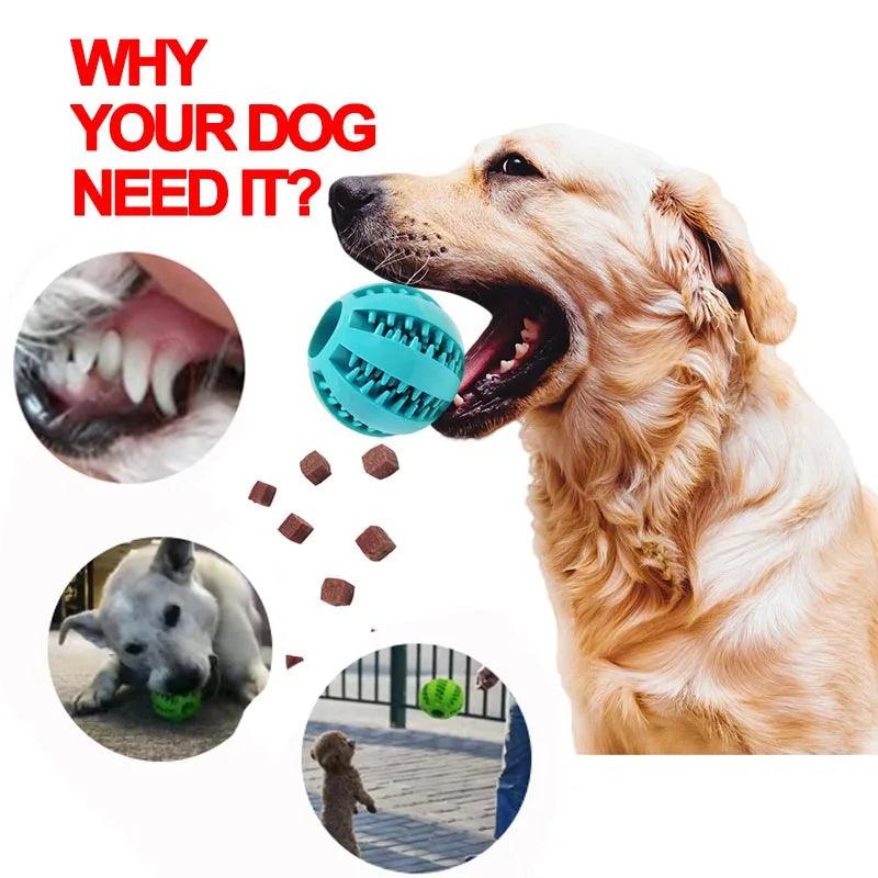 Soft Pet Dog Toys Toy Funny Interactive Elasticity Ball Dog Chew Toy For Dog Tooth Clean Ball Food Extra-tough Rubber Ball Dog - ADEEGA